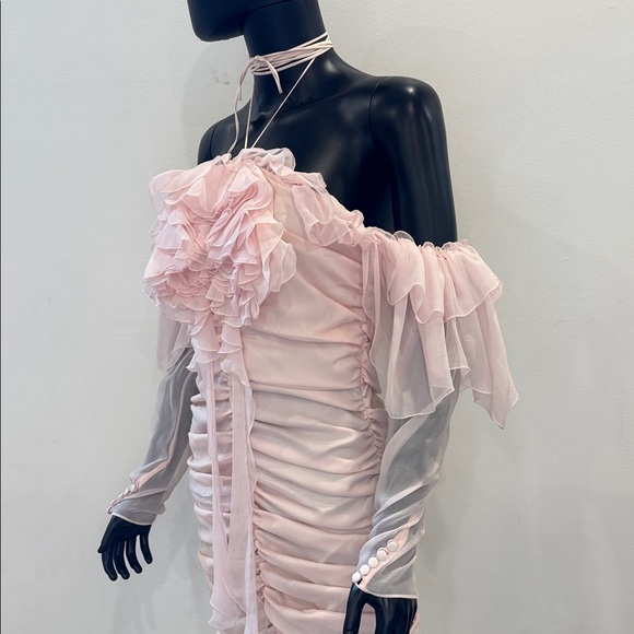 Magda Butrym Silk Corset Mini Dress Blush Pink | Built-In Corset | NEW 36/S - Picture 9 of 16